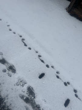 なここちゃんの昨日 21:03のブログ