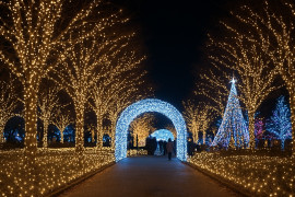 ゆうかちゃんの昨日 07:32のブログ