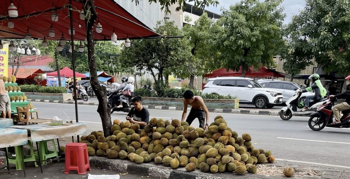 旅日記Vol.7「東南アジアの匂い」