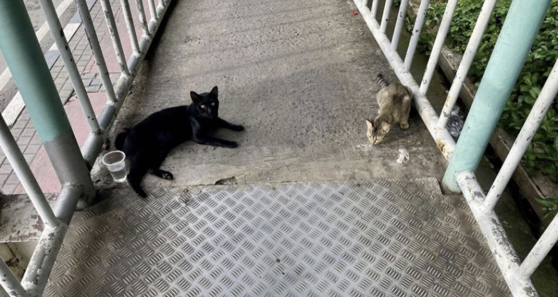 旅日記Vol.6「初手で消耗」