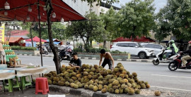 旅日記Vol.7「東南アジアの匂い」