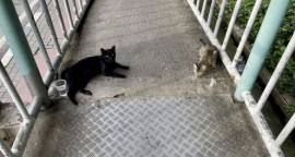 ななちゃんの1/14 (水) 22:04のブログ