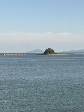 りんちゃんの12/16 (火) 16:42のブログ