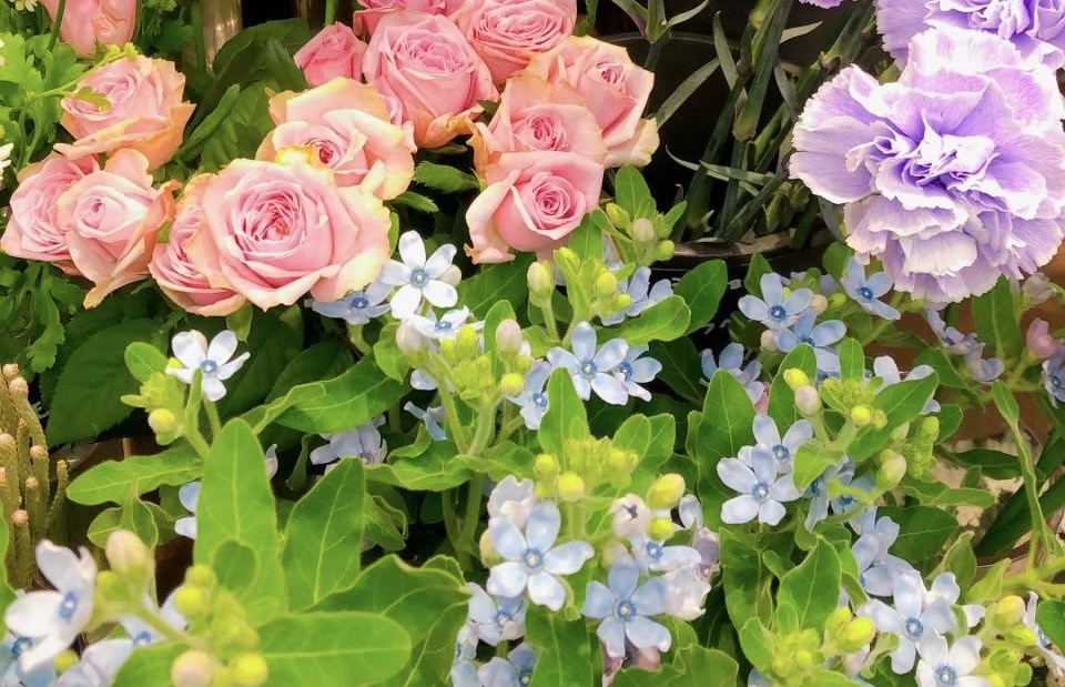 今週もお疲れ様でした(*´ω｀*)