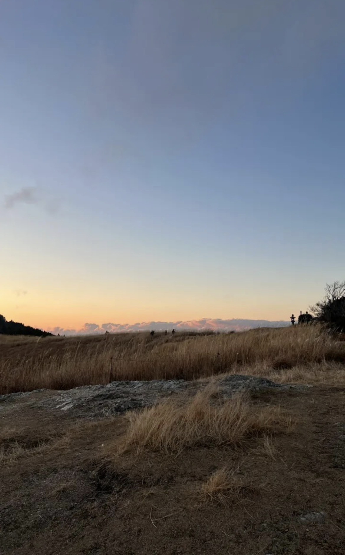 はじめてのブログ