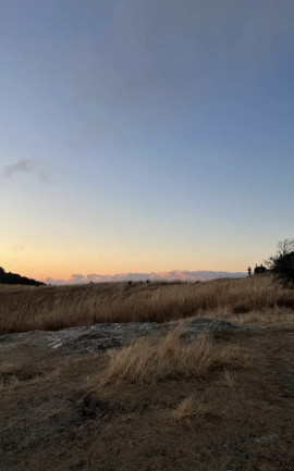 miちゃんの2025/12/18 (木) 00:29のブログ