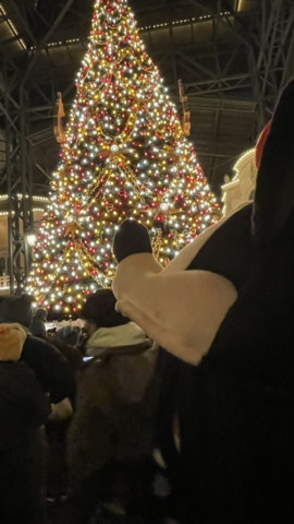 今日の配信予定時間について♪