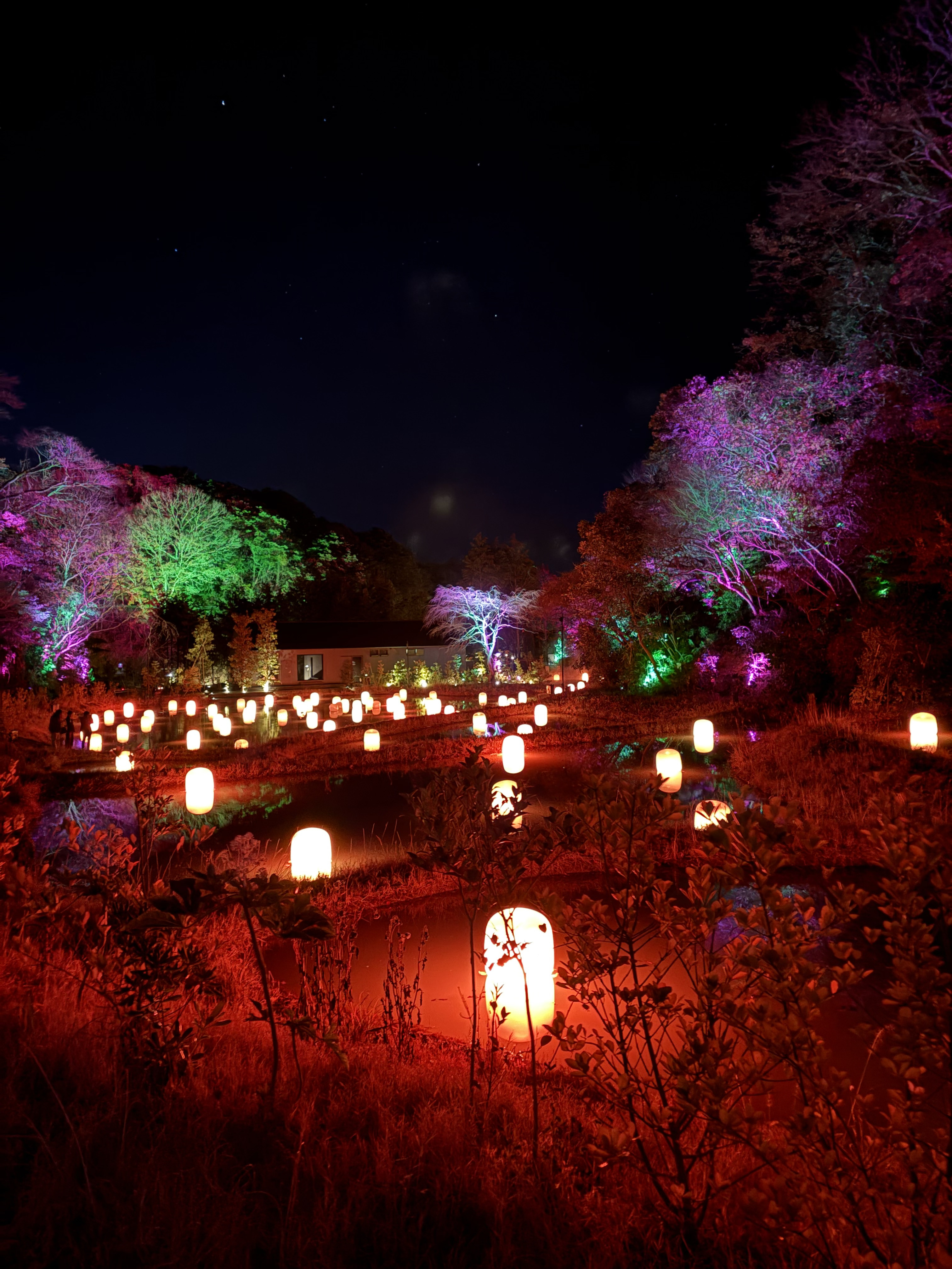 はじめまして！