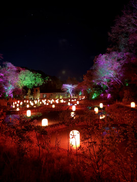 はじめまして！