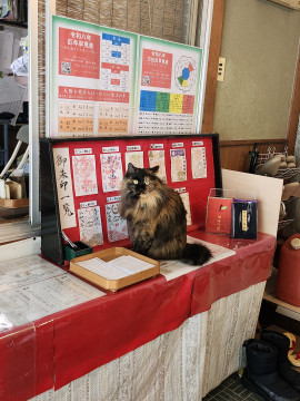 メグちゃんの今日 15:00のブログ