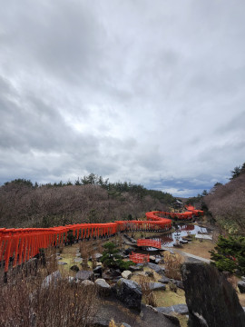 メグちゃんの1/4 (日) 17:25のブログ