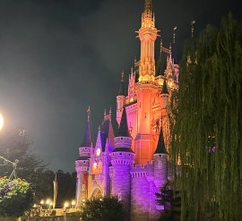 はるちゃんの1/5 (月) 19:36のブログ