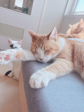 れいちゃんの今日 07:55のブログ