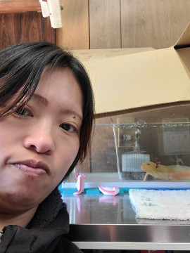 LUNAちゃんの昨日 05:35のブログ