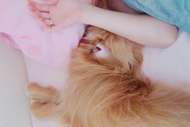 Lanaちゃんの1/27 (火) 12:32のブログ