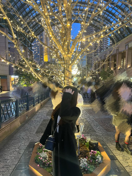 イルミネーション