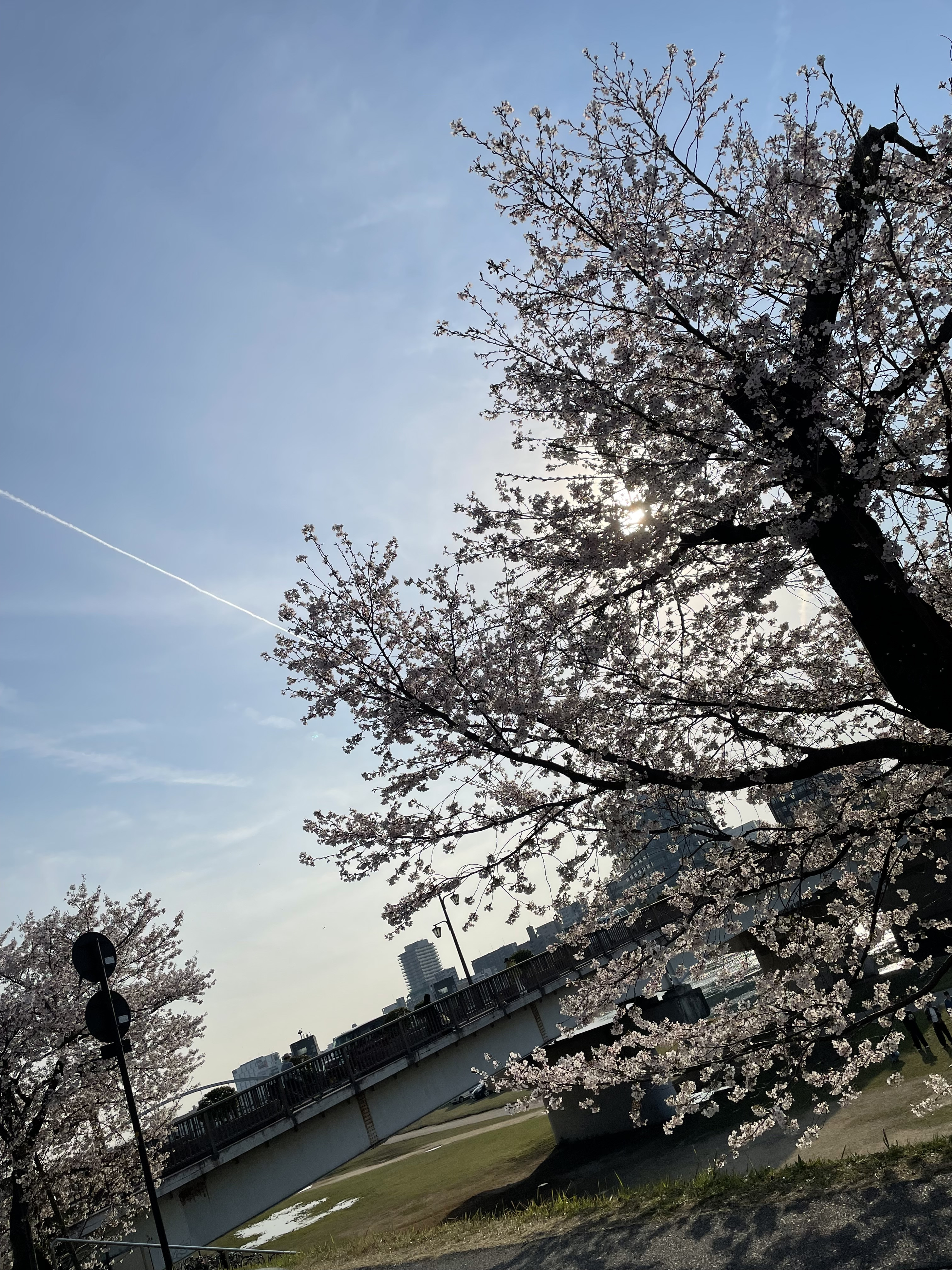 今日したら、数日できないと思います?