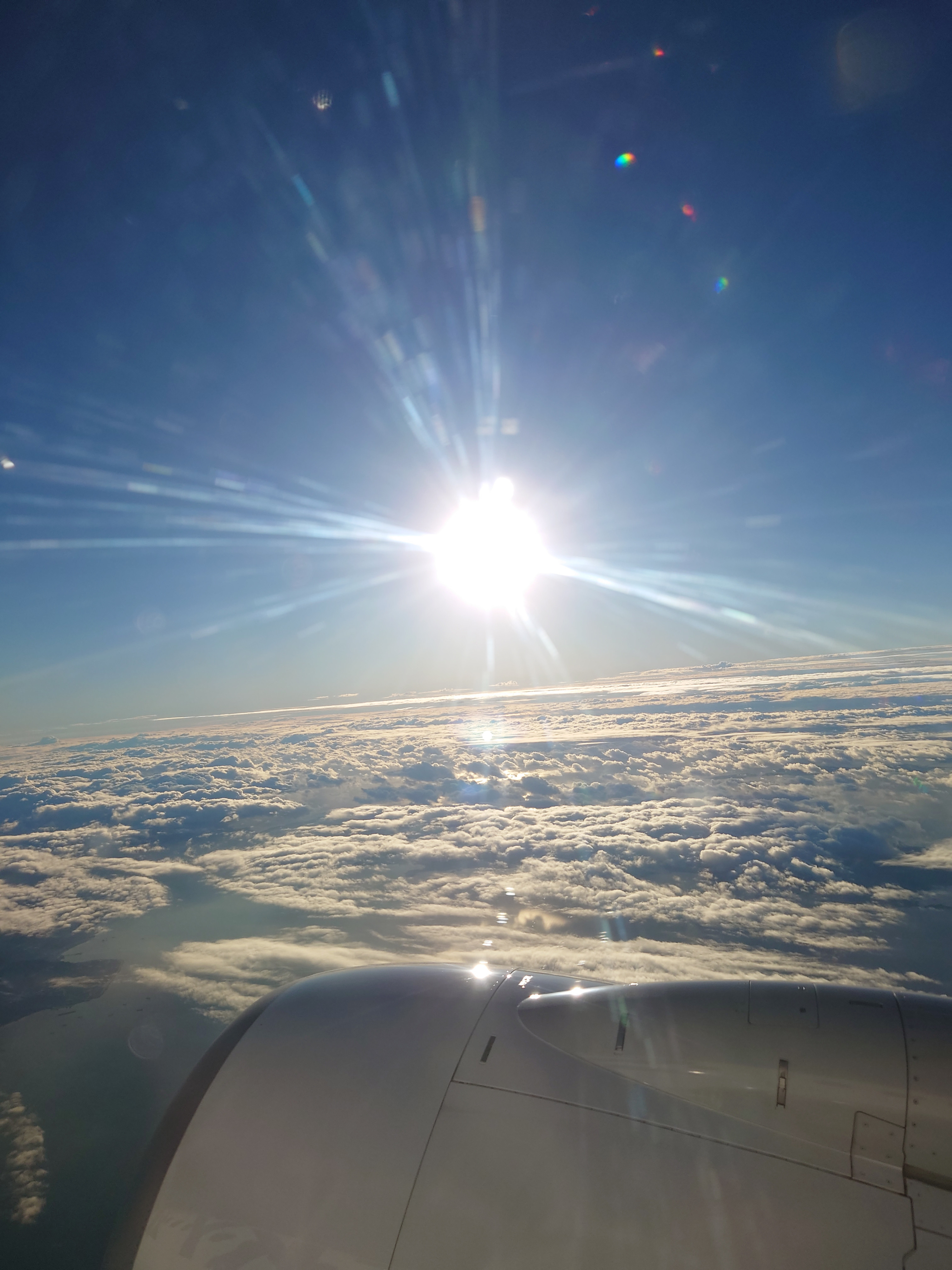 おはようございます?