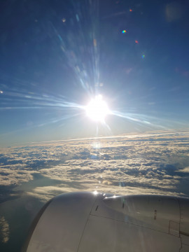 おはようございます?