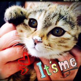 Yuliyちゃんの昨日 03:12のブログ