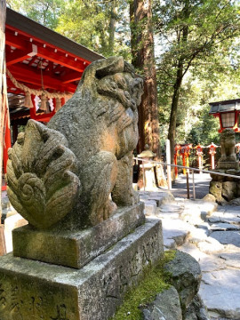 ペット欲しいけど