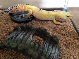 なーちゃんちゃんの今日 10:46のブログ