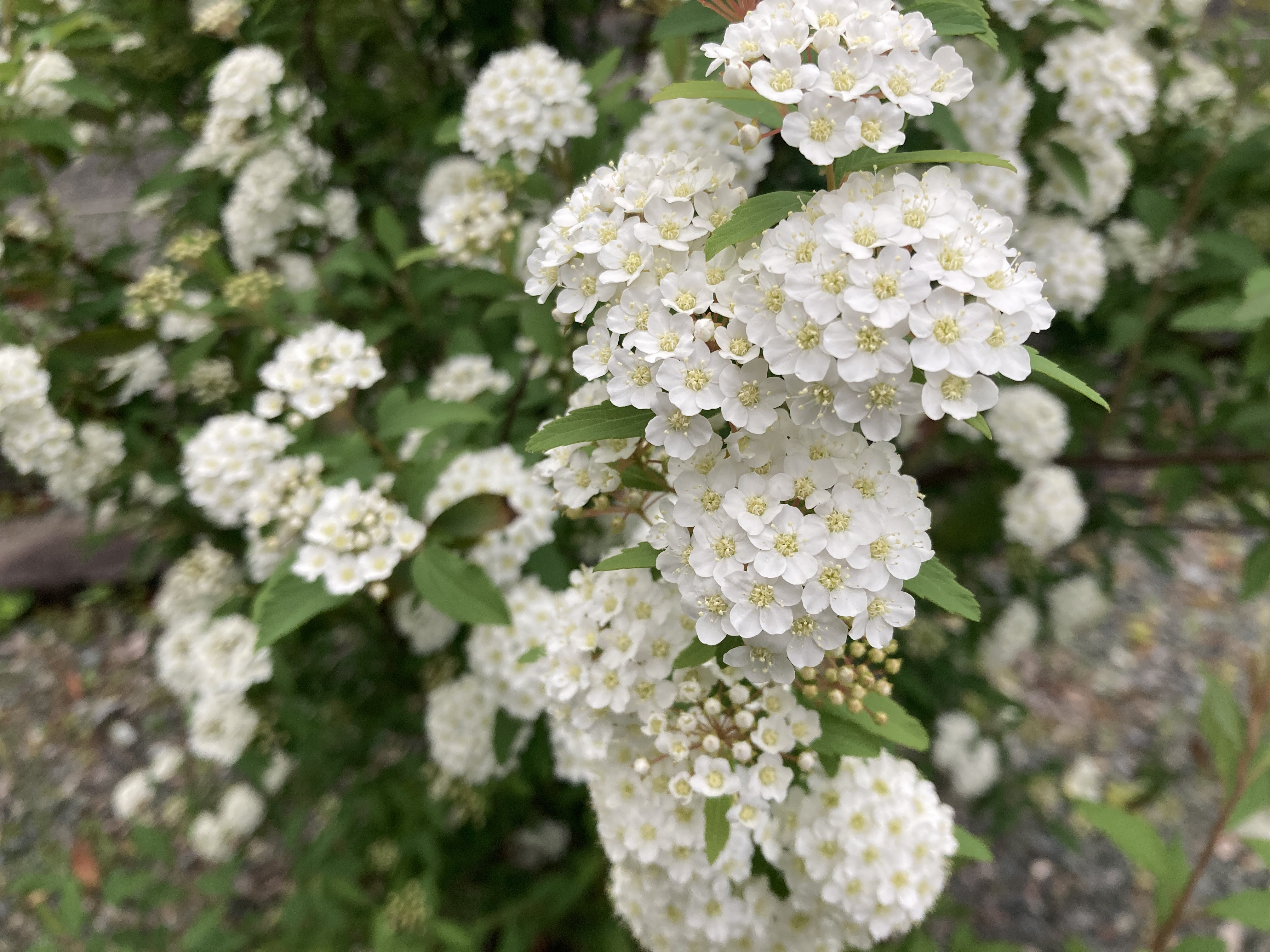寒暖差が激しいですね