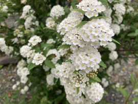 くもり☁️ちゃんの昨日 18:44のブログ