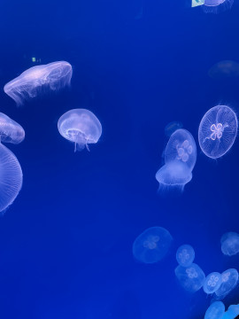 びびちゃんの3/4 (水) 08:22のブログ