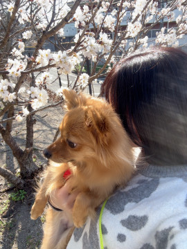 まるちゃんの3/6 (金) 02:31のブログ