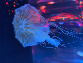 まなちゃんの3/13 (金) 22:35のブログ