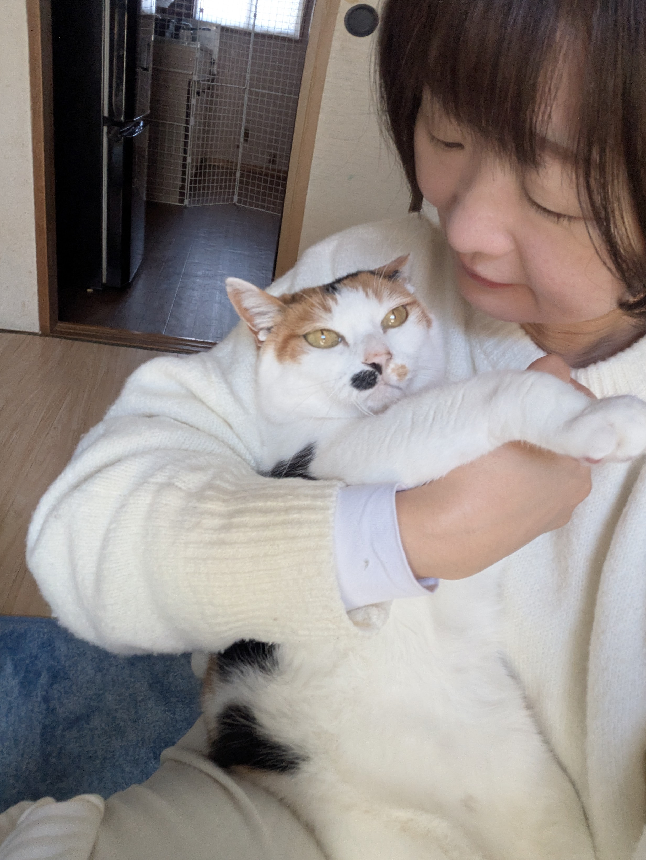 猫から癒しもらってます！！