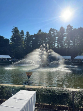 メロディーちゃんの3/8 (日) 07:56のブログ