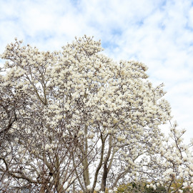 エヌちゃんの3/24 (火) 14:54のブログ