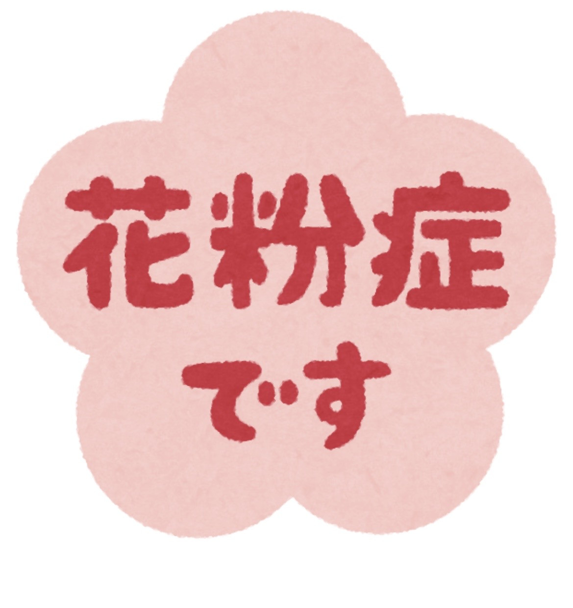 花粉症( ；∀；)