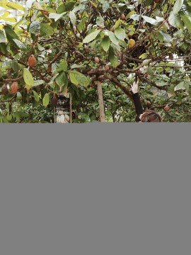 はなちゃんの昨日 11:56のブログ