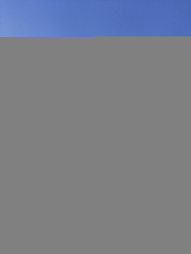 はなちゃんの昨日 11:56のブログ