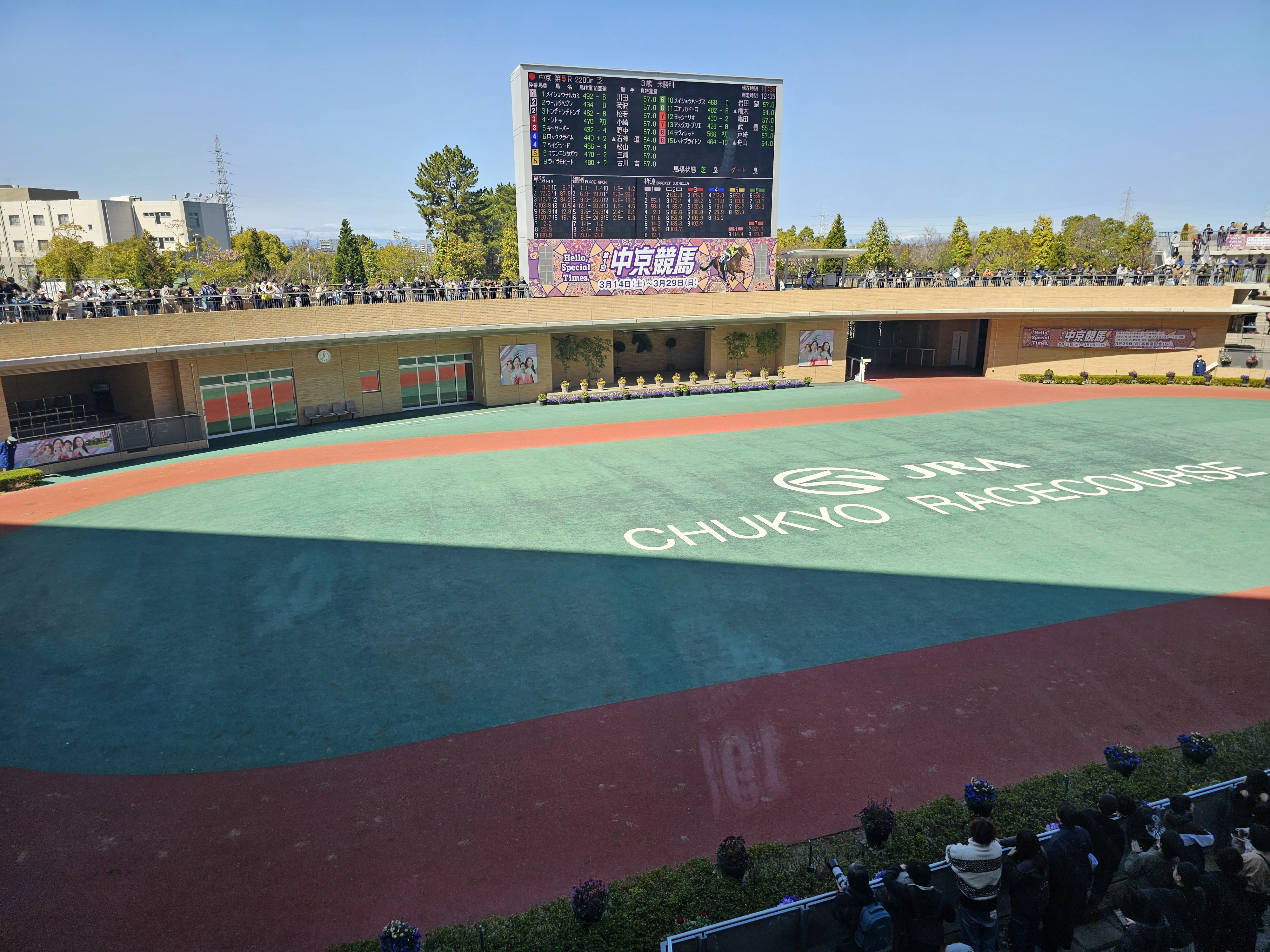 競馬してきたよー!!!