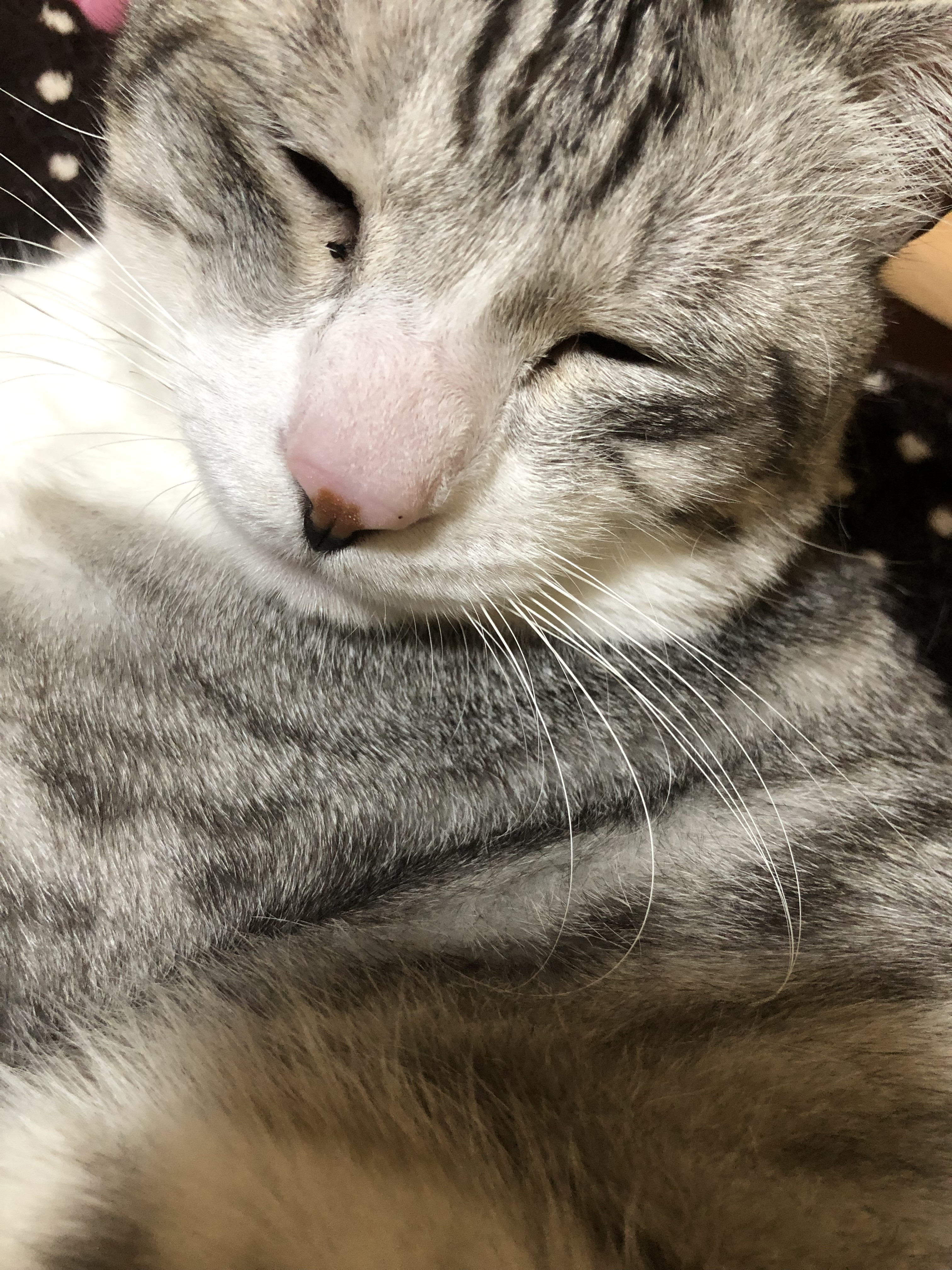 初めまして〜！！！