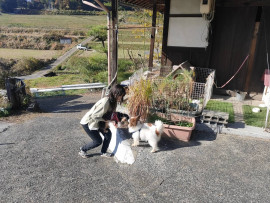 あかりちゃんの3/17 (火) 02:30のブログ