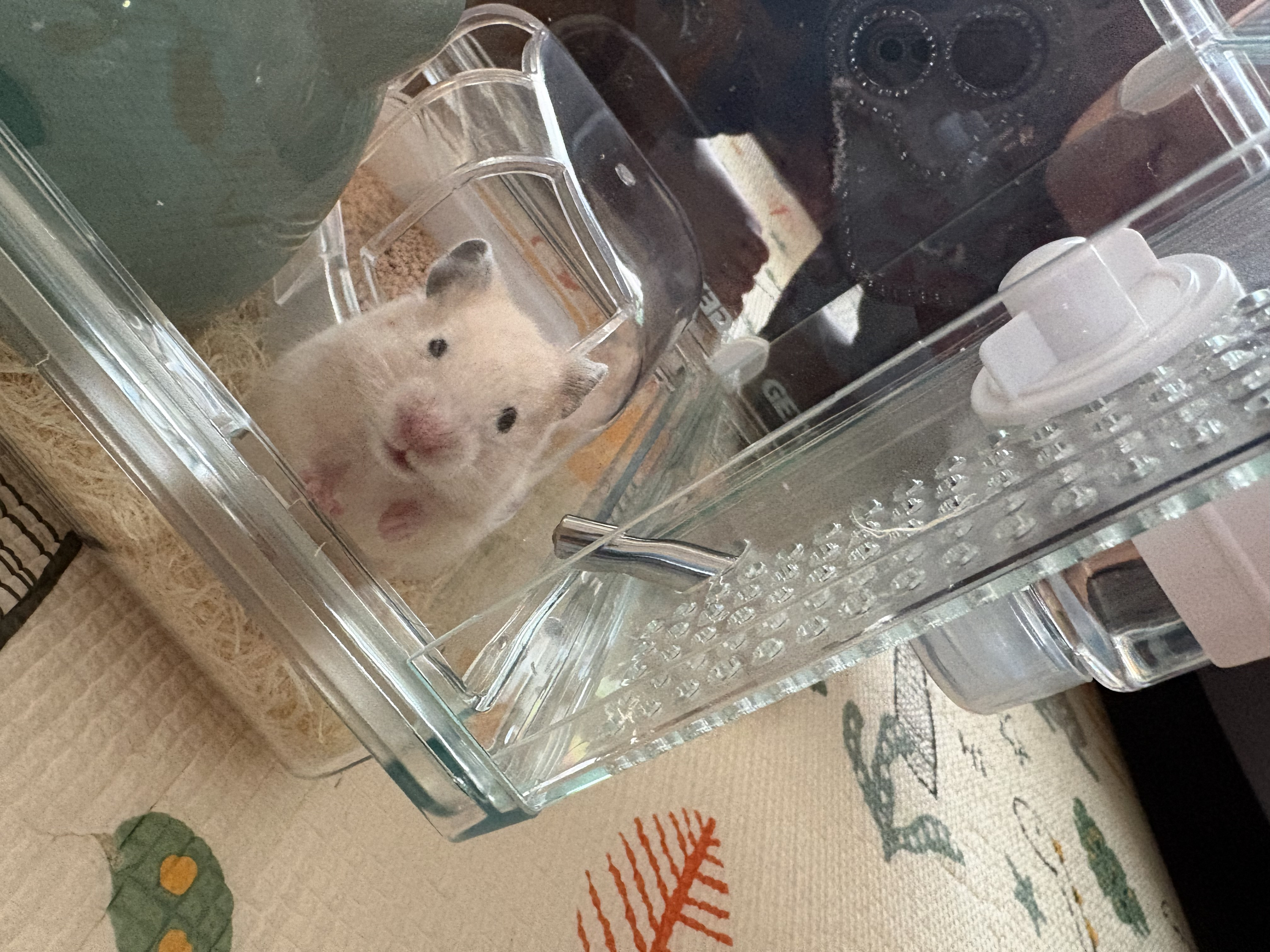 はじめまして!!