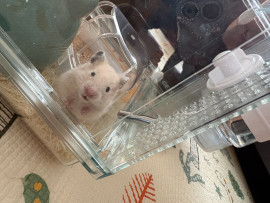 ららちゃんの今日 14:19のブログ