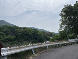 早朝散歩