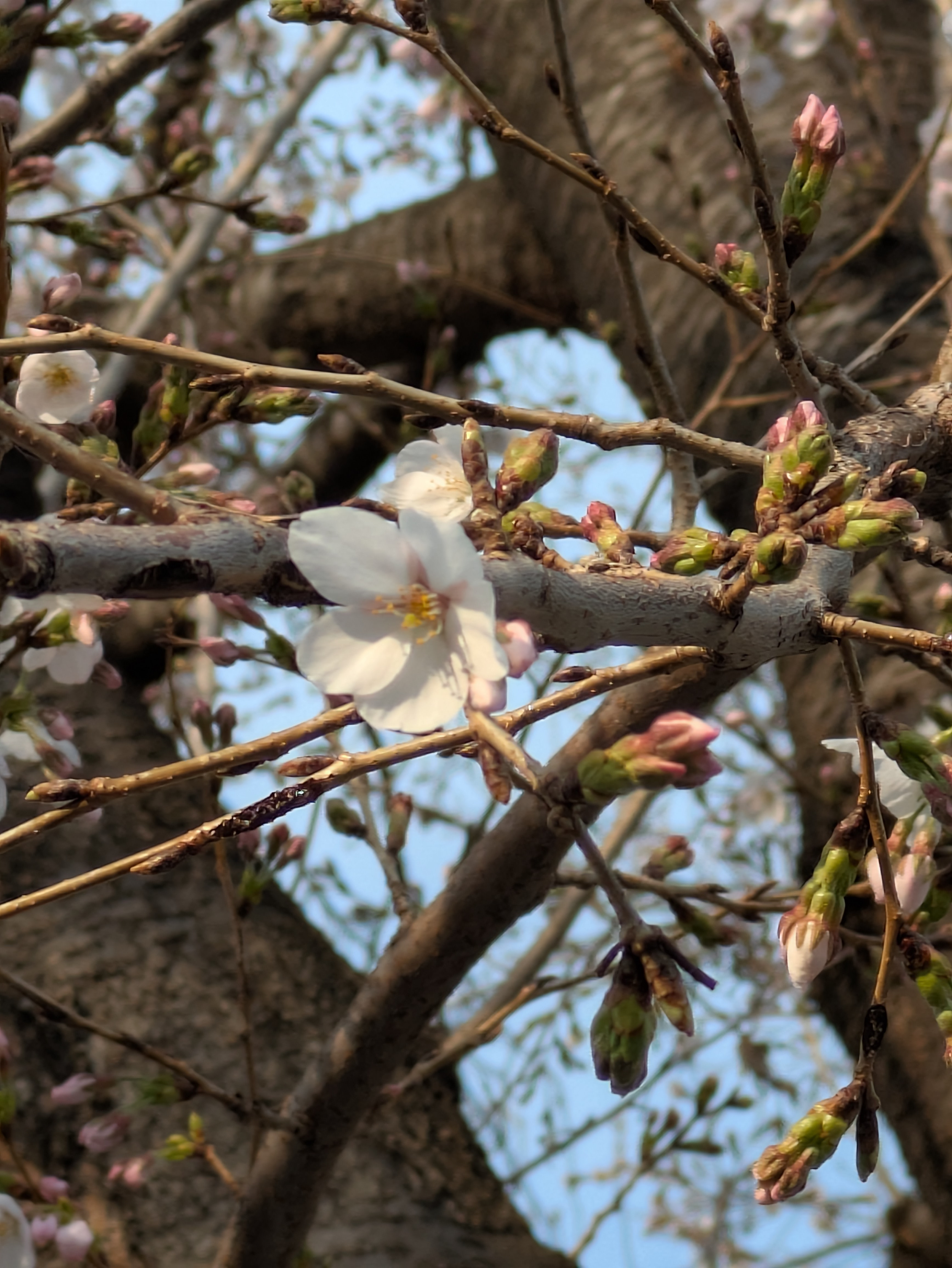 初めての投稿！