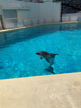 何億年ぶりかの水族館
