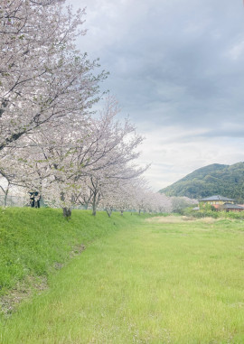 Mkttyちゃんの4/8 (水) 11:32のブログ