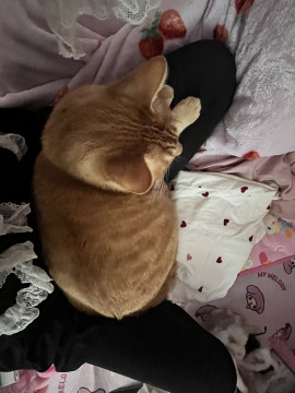 りおちゃんの4/15 (水) 01:03のブログ