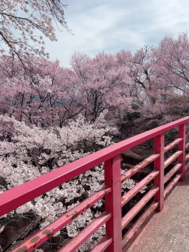 うたちゃんの4/21 (火) 16:56のブログ