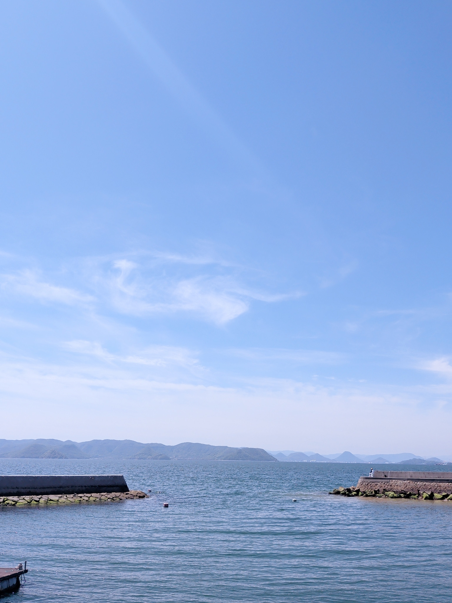 海