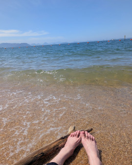 海